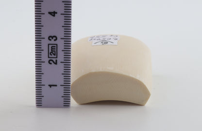 White mammoth ivory segment