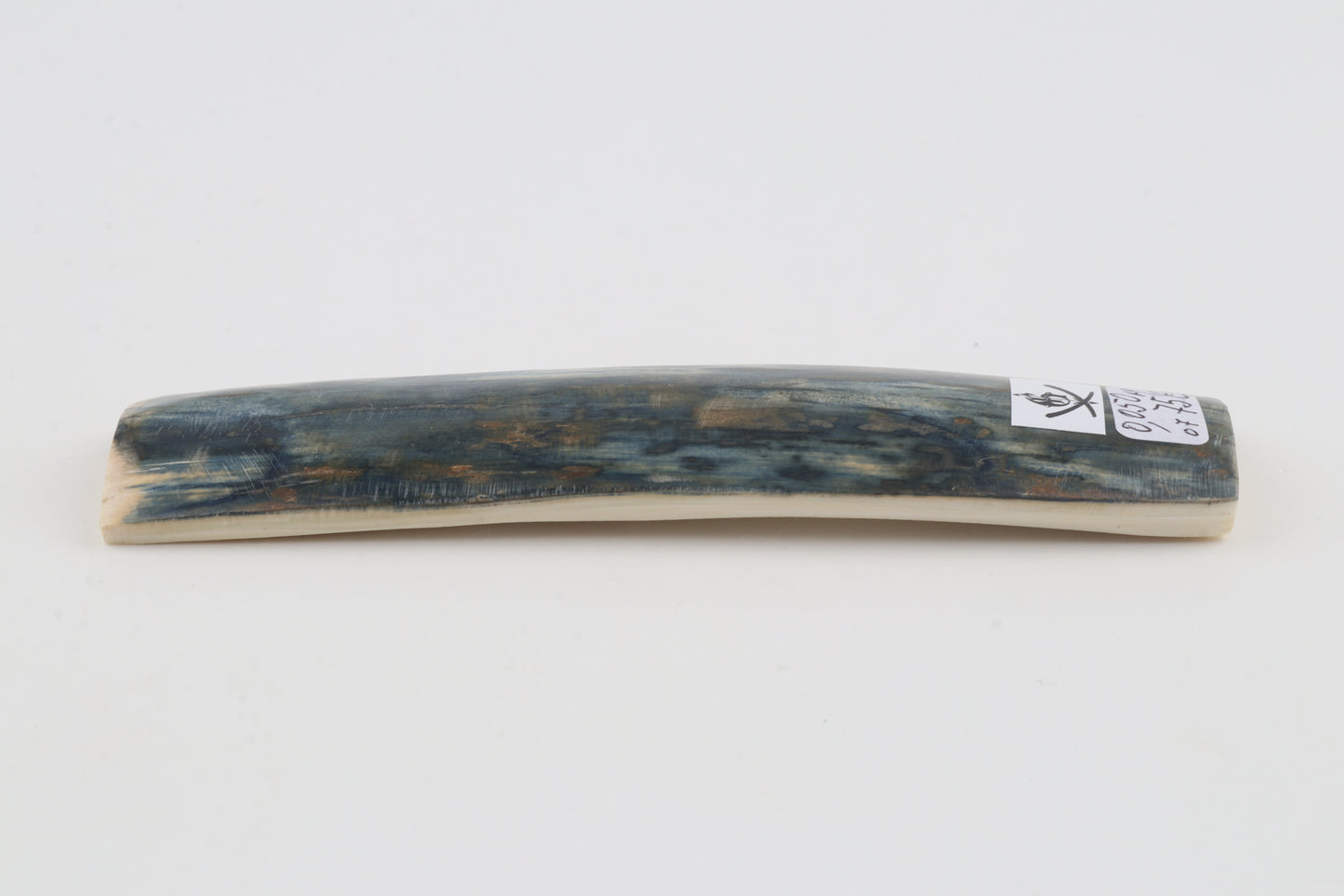Blue mammoth bark