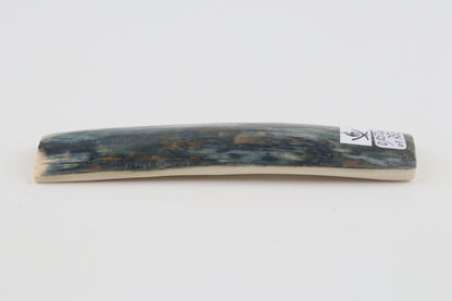 Blue mammoth bark