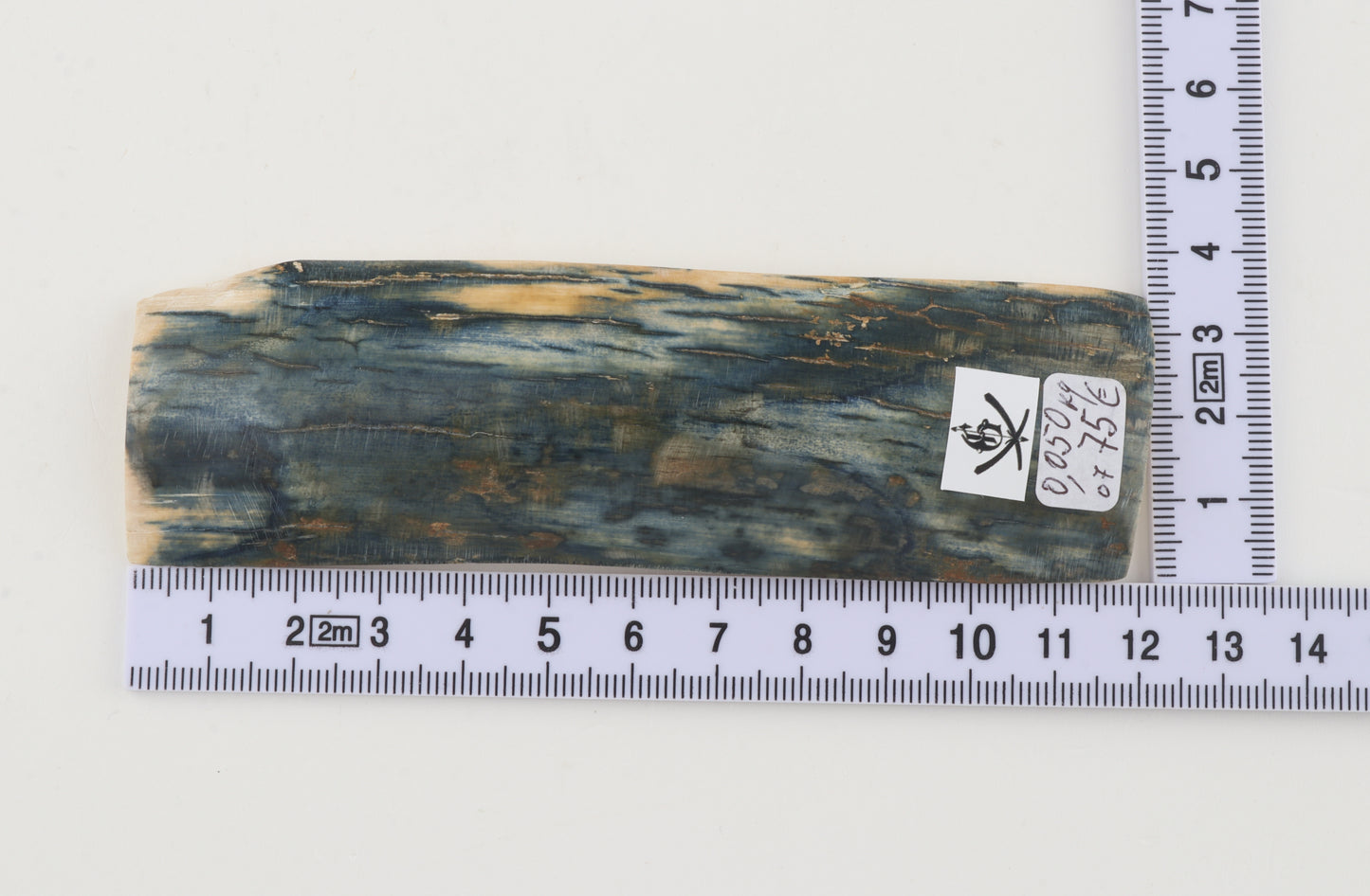 Blue mammoth bark