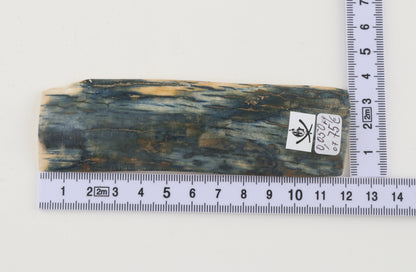 Blue mammoth bark