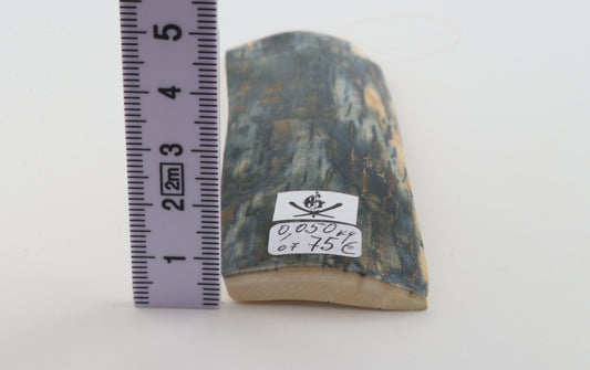Blue mammoth bark