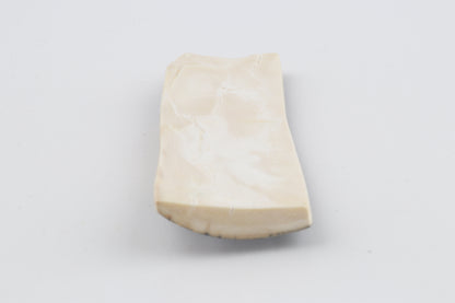 Blue mammoth bark