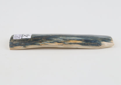 Blue mammoth bark