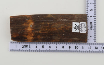 Brown mammoth bark