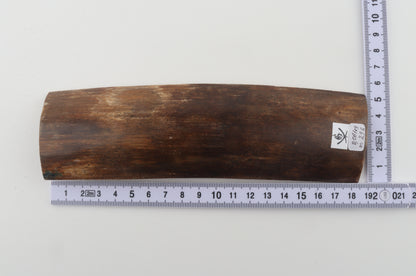 Brown mammoth bark