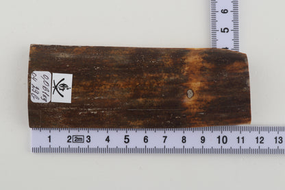 Brown mammoth bark