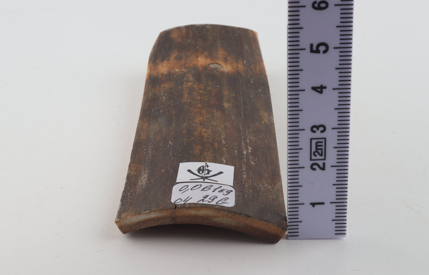 Brown mammoth bark