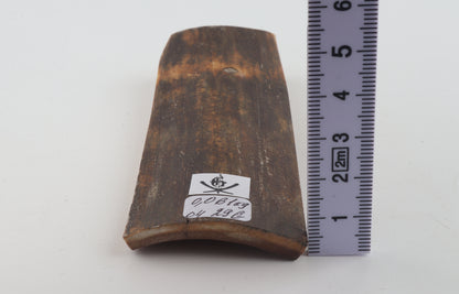 Brown mammoth bark