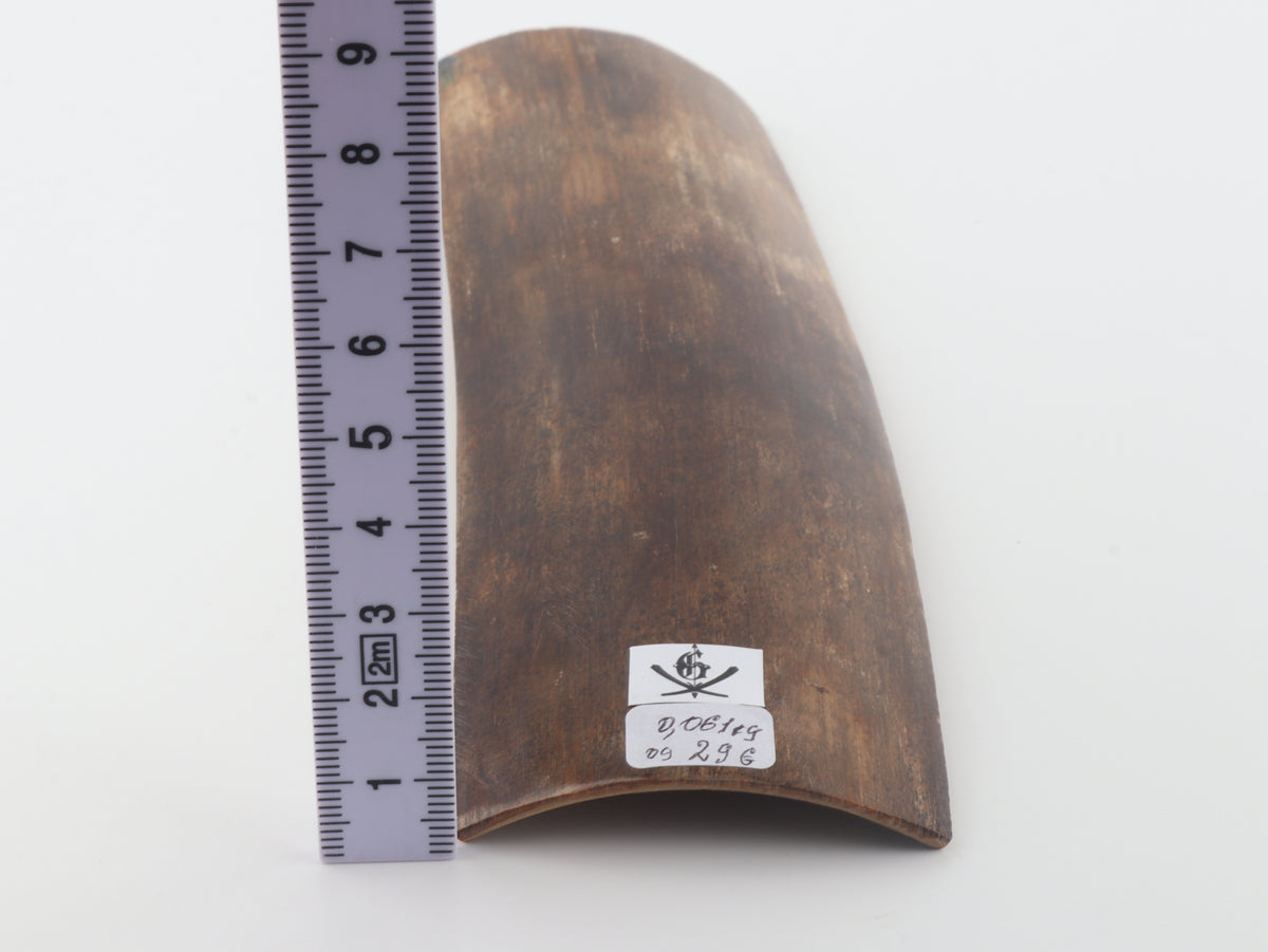 Brown mammoth bark