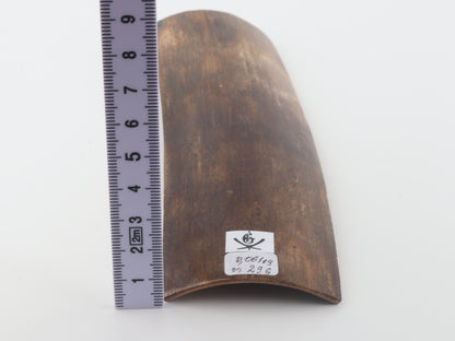 Brown mammoth bark