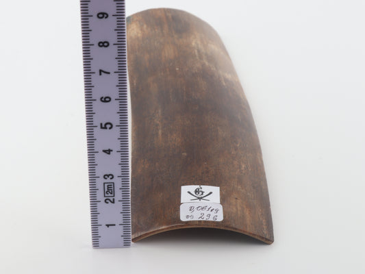 Brown mammoth bark