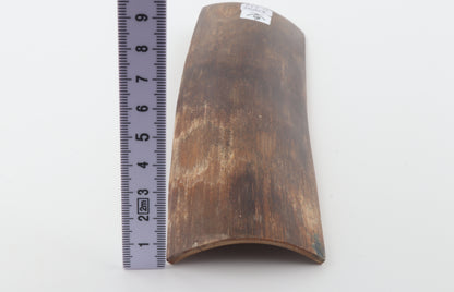Brown mammoth bark