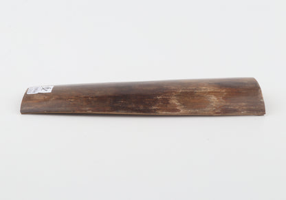 Brown mammoth bark