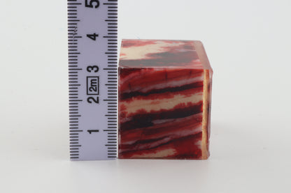 Stabilized mammoth molar block