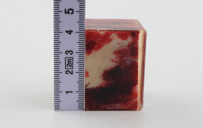 Stabilized mammoth molar block