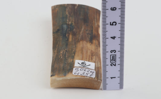 Brown-blue mammoth bark