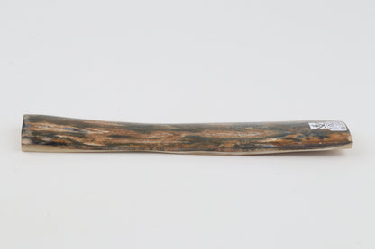 Orange-green mammoth bark