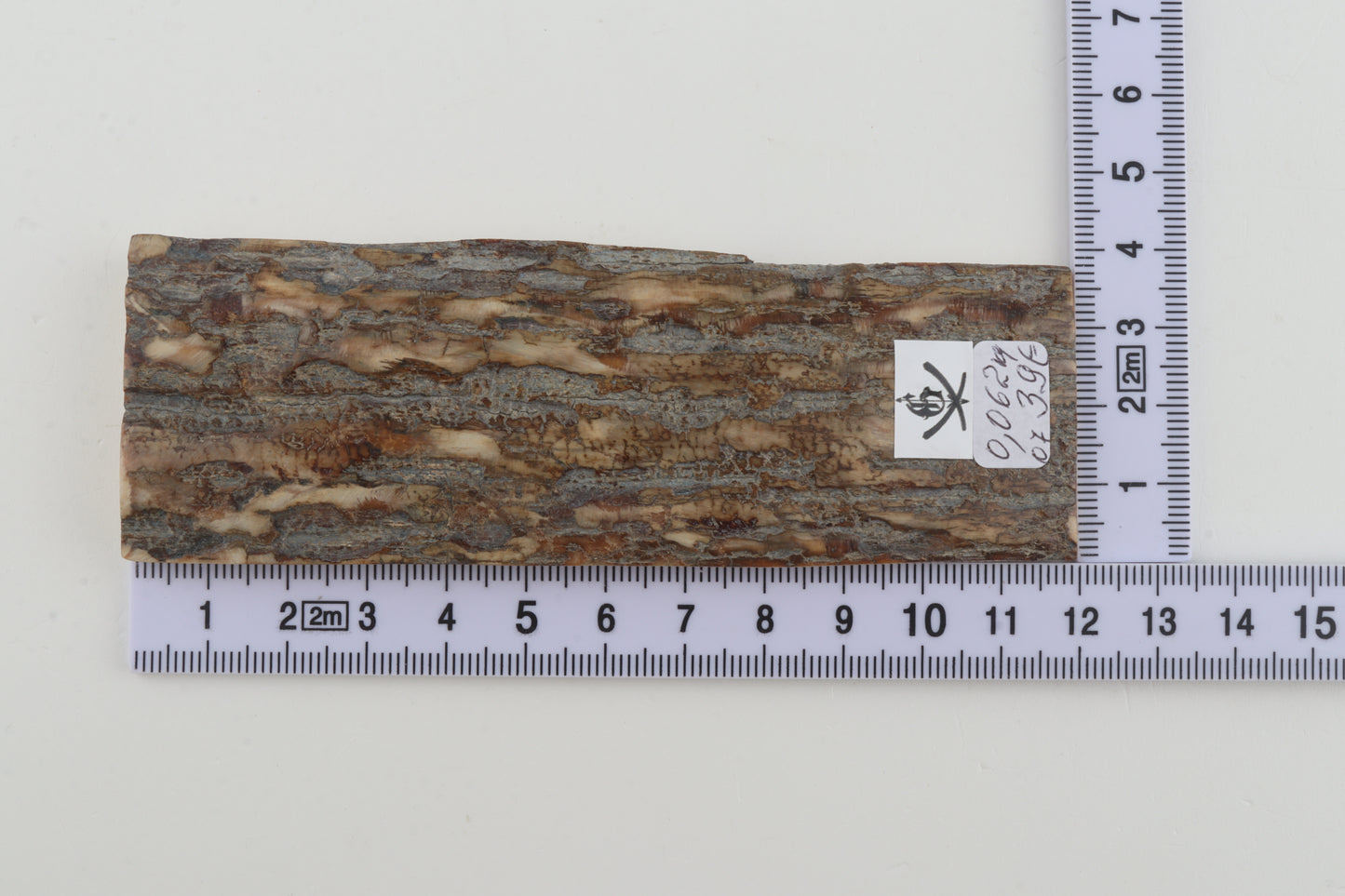 Beige-grey mammoth bark