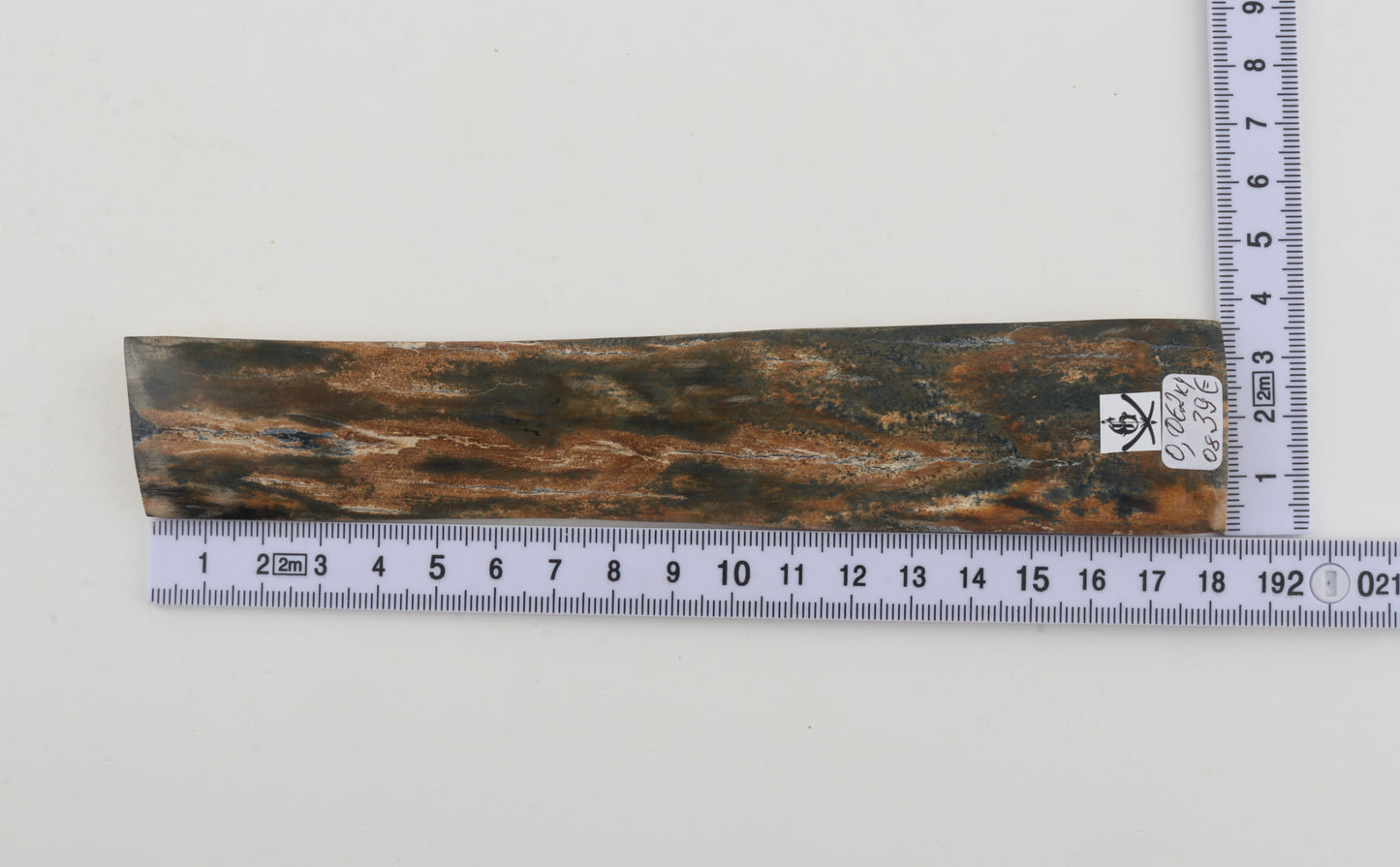 Orange-green mammoth bark