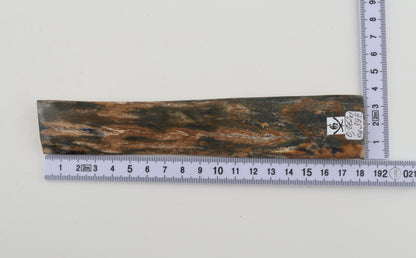 Orange-green mammoth bark