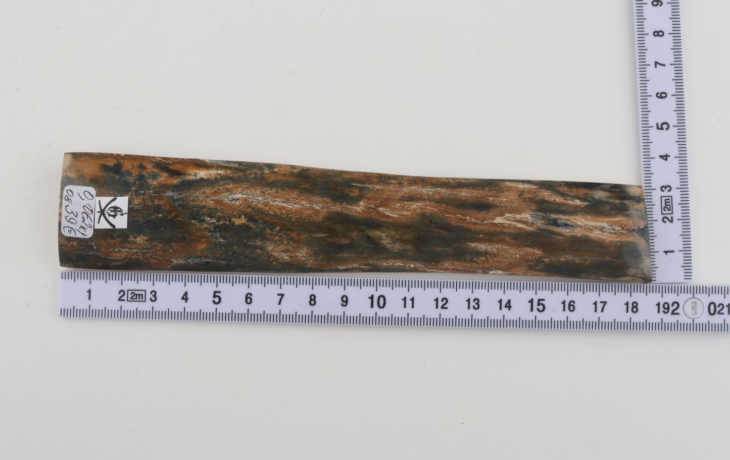 Orange-green mammoth bark