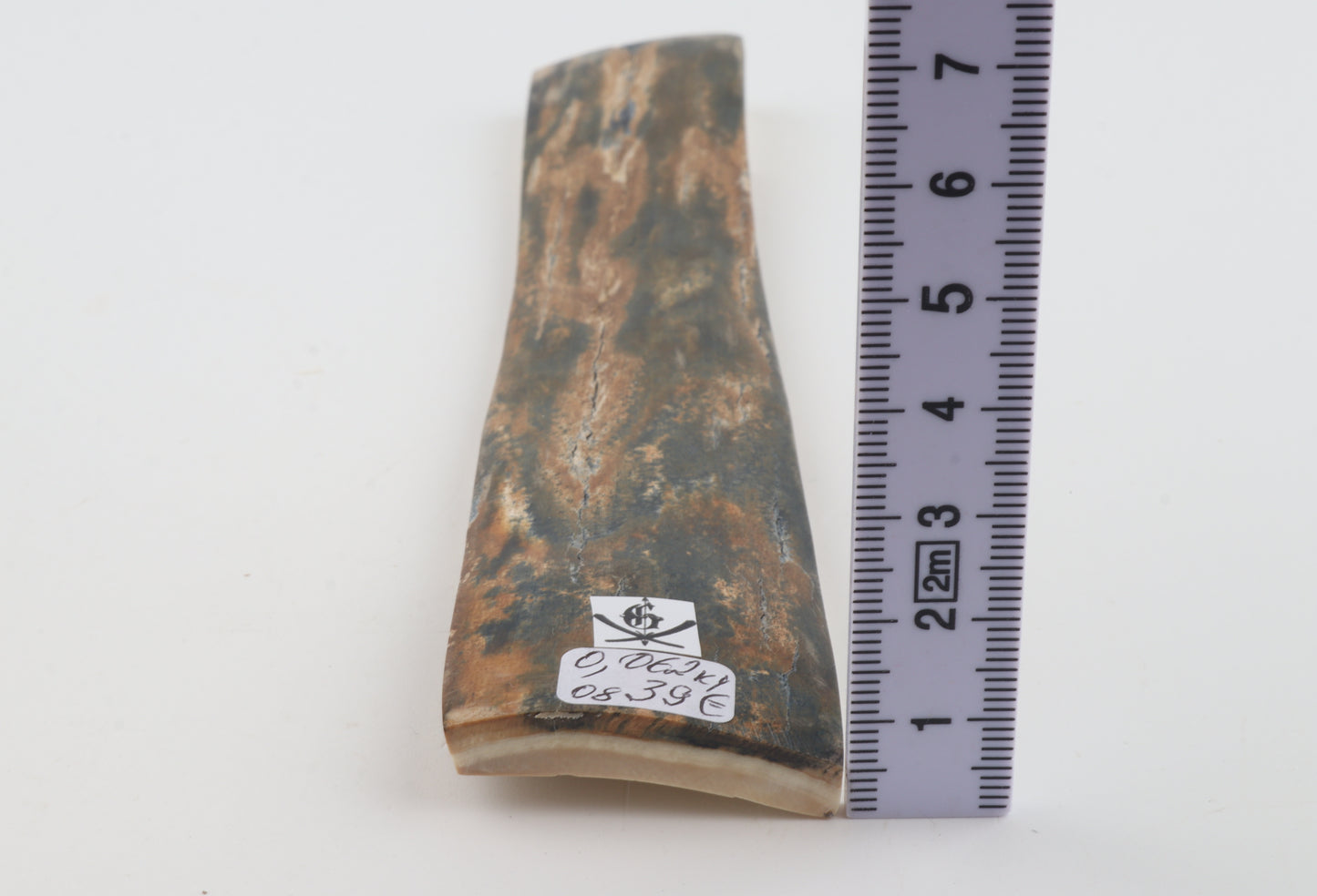Orange-green mammoth bark