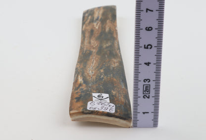 Orange-green mammoth bark