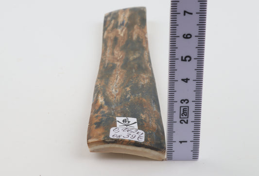 Orange-green mammoth bark