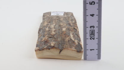 Beige-grey mammoth bark