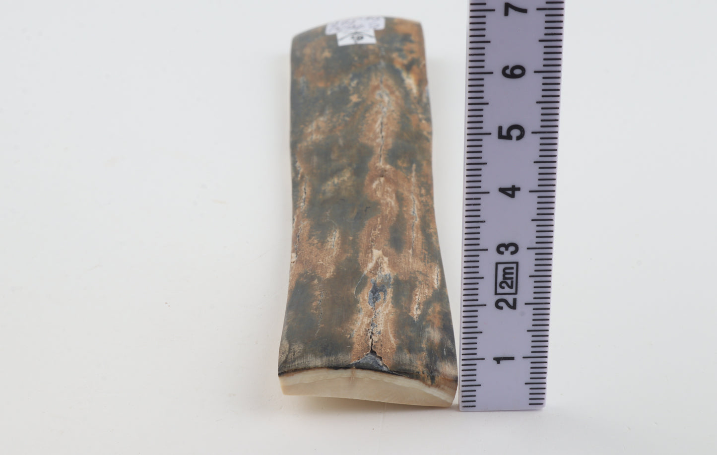 Orange-green mammoth bark