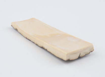 Beige-grey mammoth bark