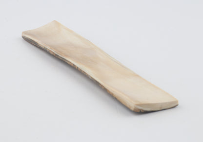 Orange-green mammoth bark