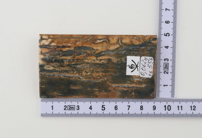 Natural woolly mammoth bark