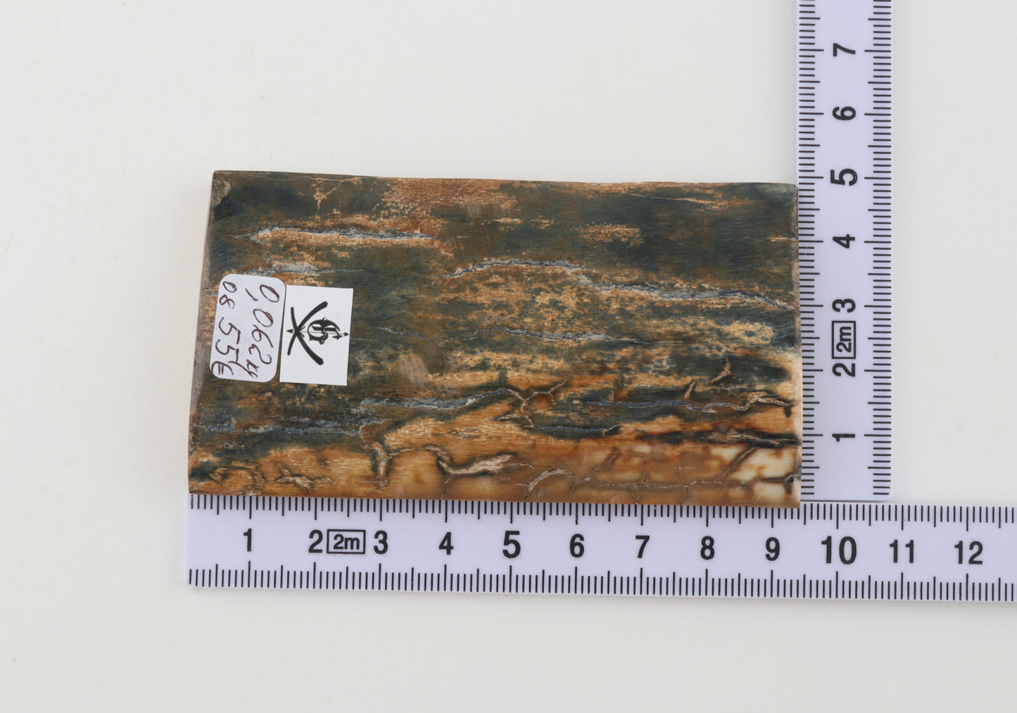 Natural woolly mammoth bark