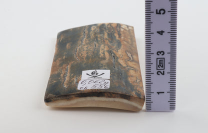 Natural woolly mammoth bark