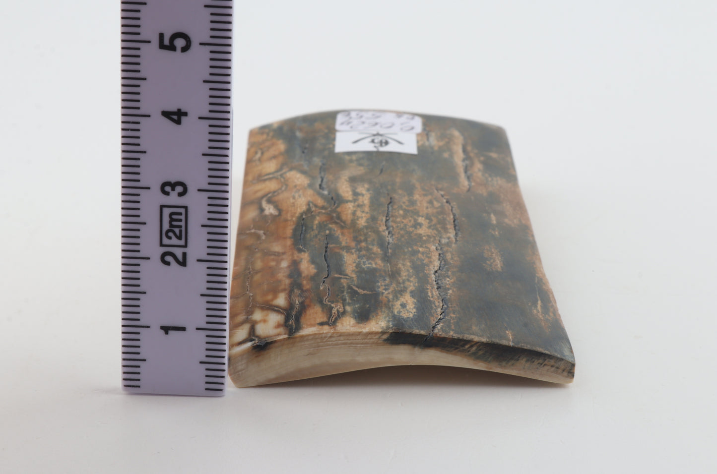 Natural woolly mammoth bark