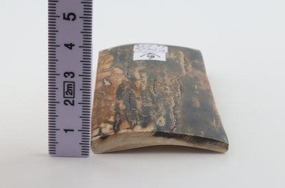 Natural woolly mammoth bark