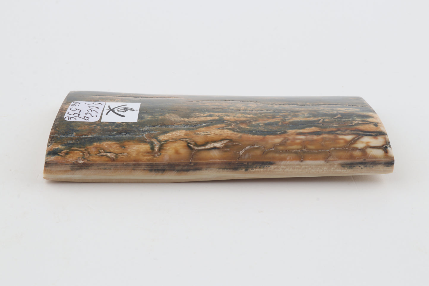 Natural woolly mammoth bark