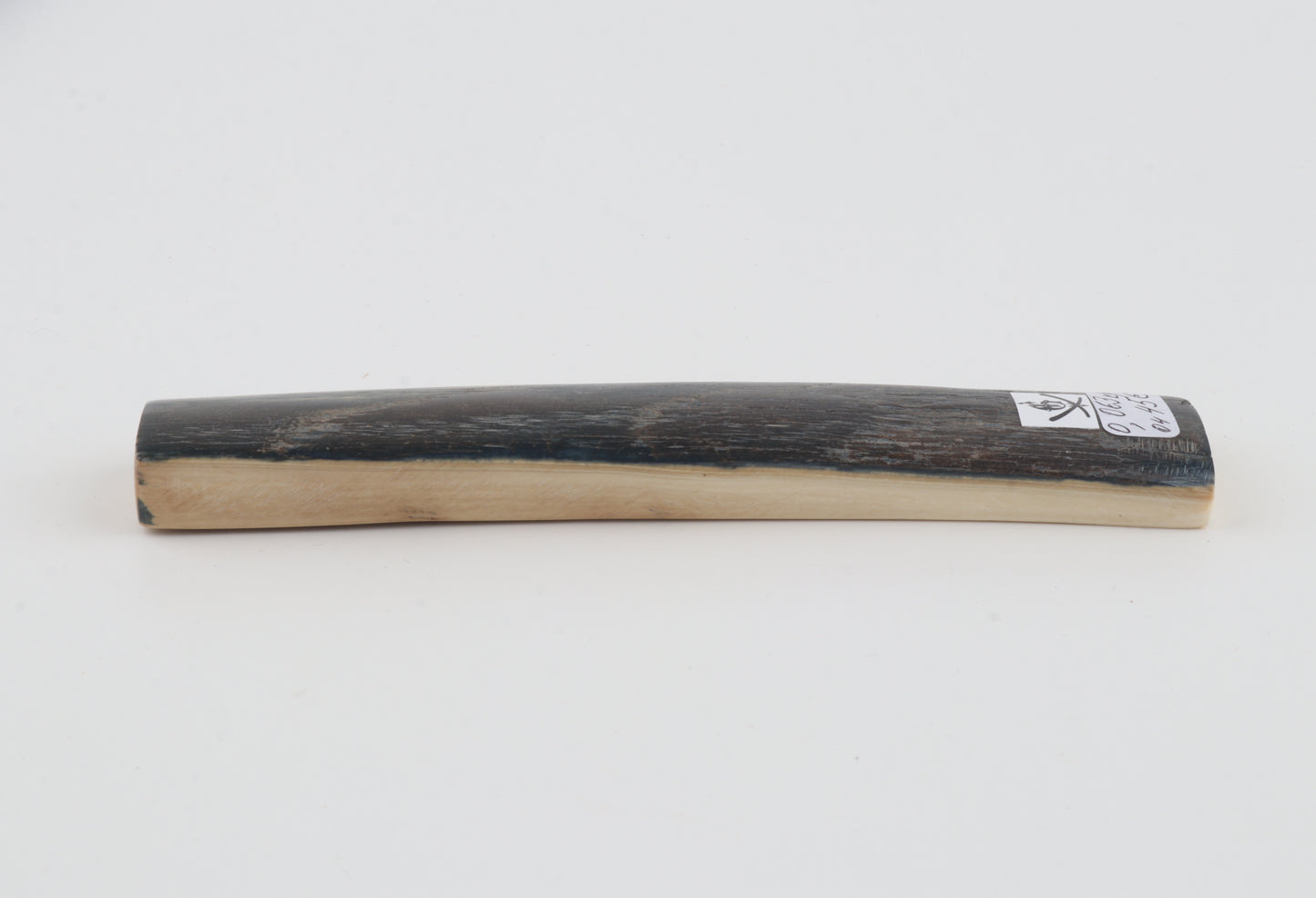 Blue mammoth bark