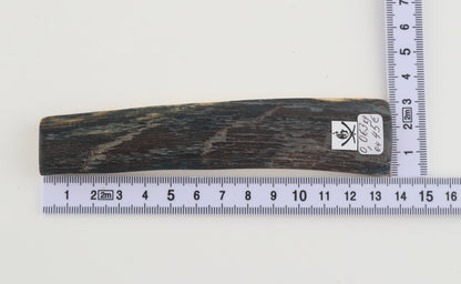 Blue mammoth bark