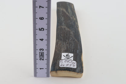 Blue mammoth bark