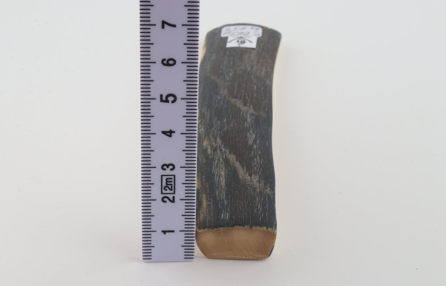 Blue mammoth bark