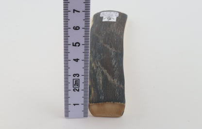 Blue mammoth bark