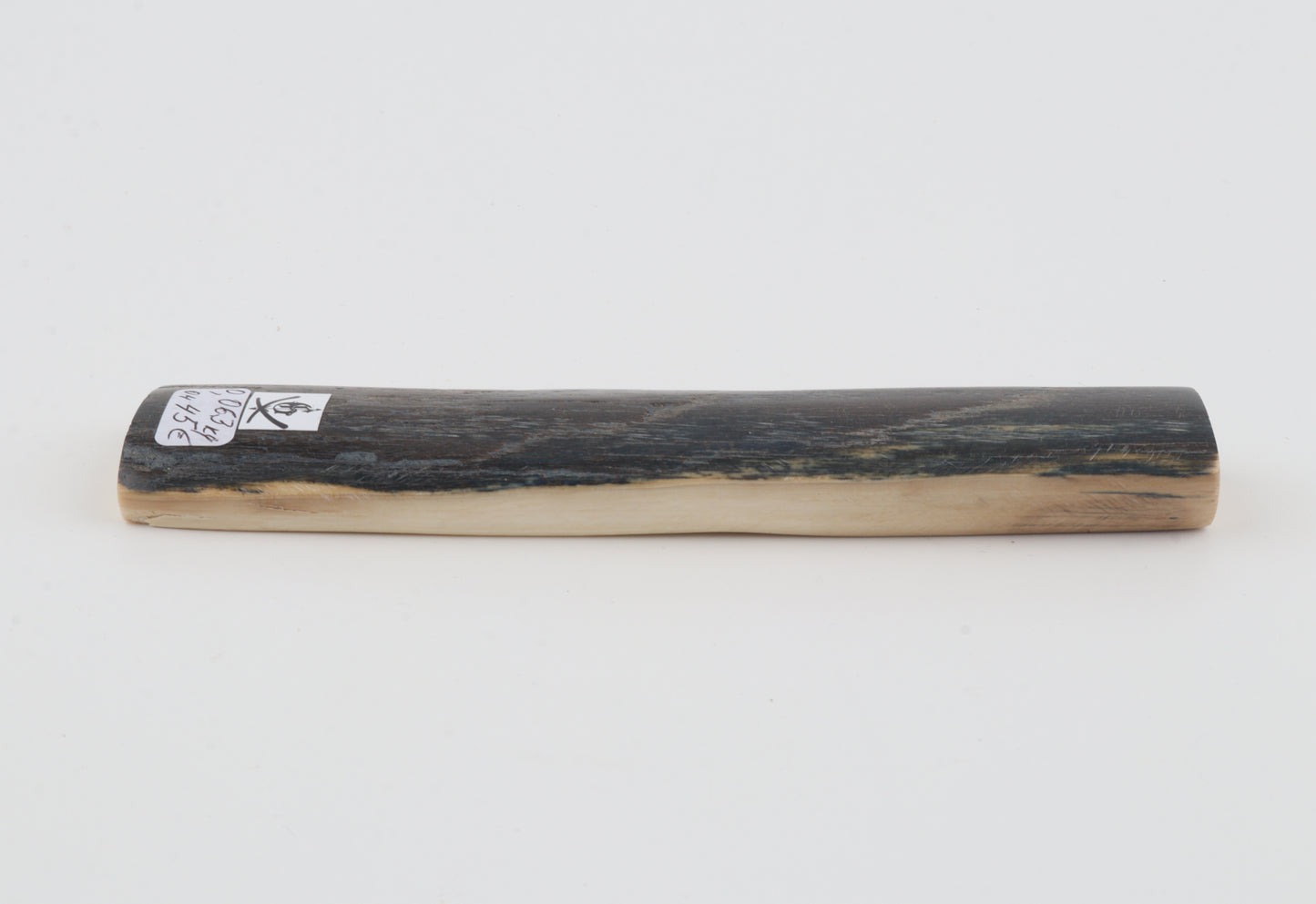Blue mammoth bark