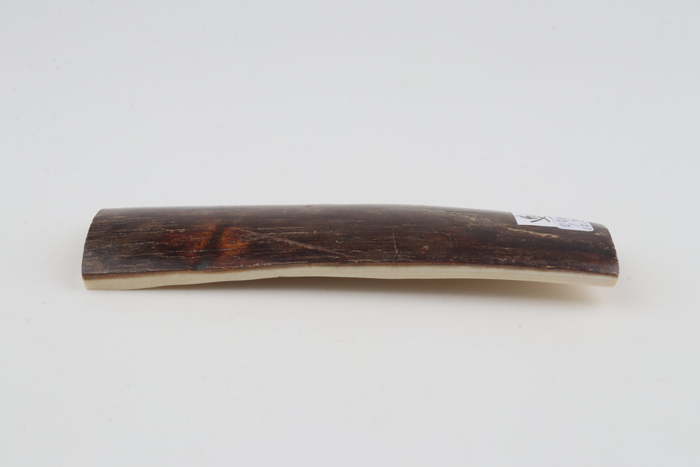 Brown mammoth bark