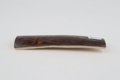 Brown mammoth bark