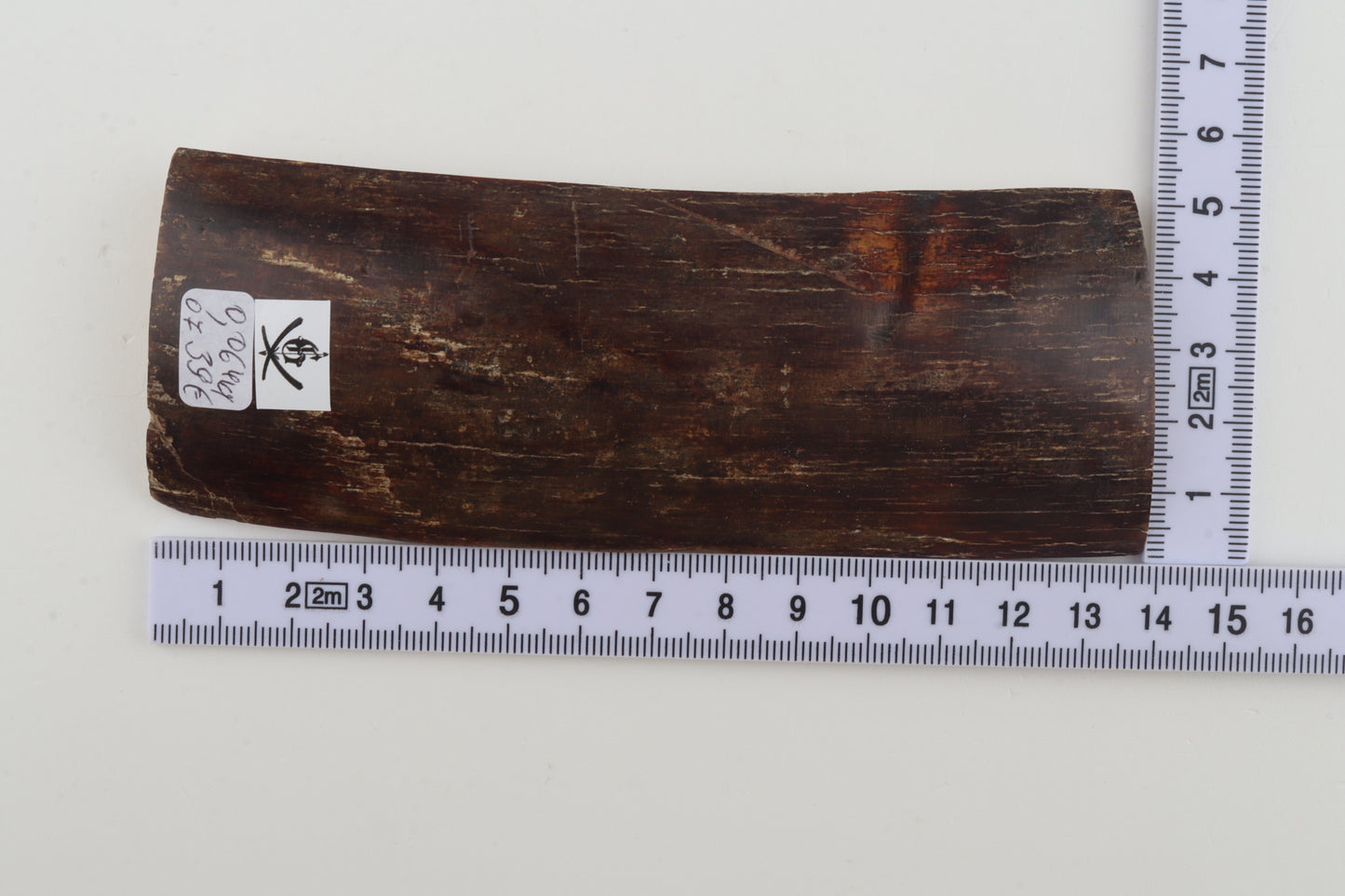 Brown mammoth bark