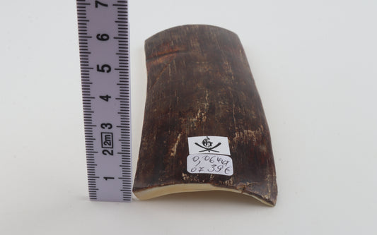 Brown mammoth bark