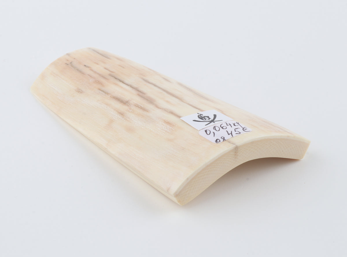 Natural mammoth ivory piece